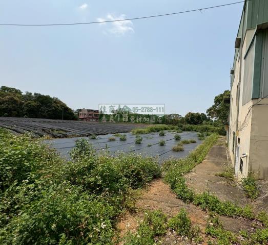 東區農地-6