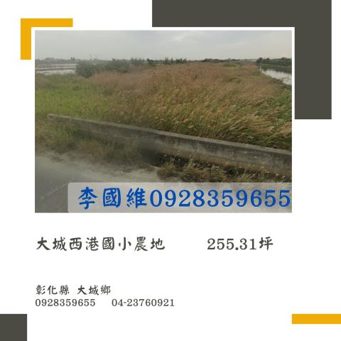 彰化大城法拍農地-0