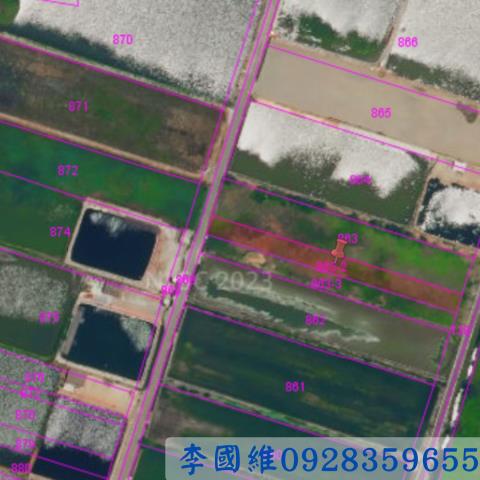 彰化大城法拍農地-2