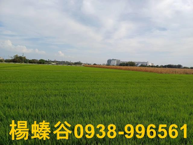 台南新營農地-5