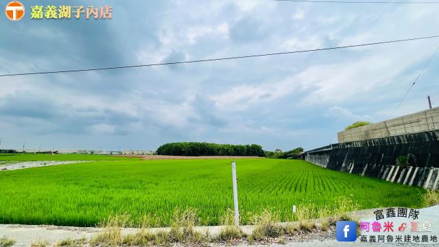 後壁農地-2