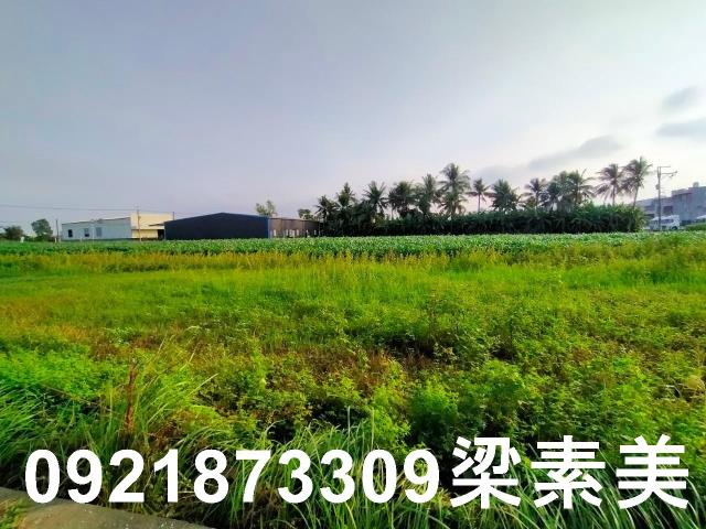 台南農地-10