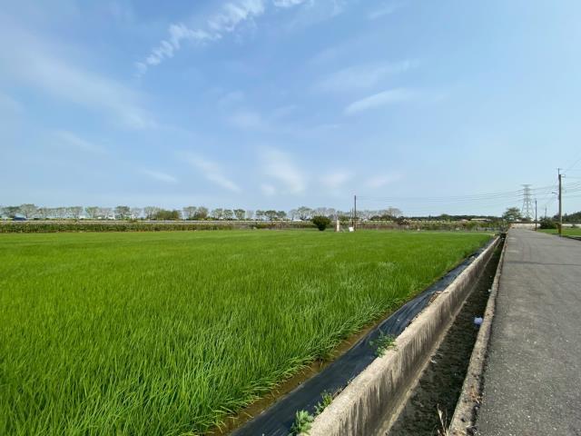 台南新營農地-3