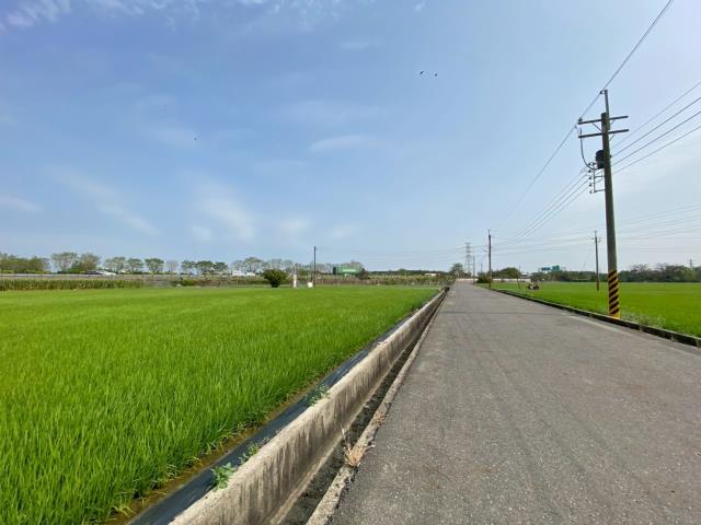 台南新營農地-4