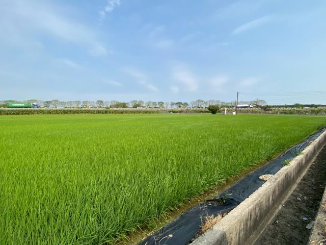 台南新營農地-5