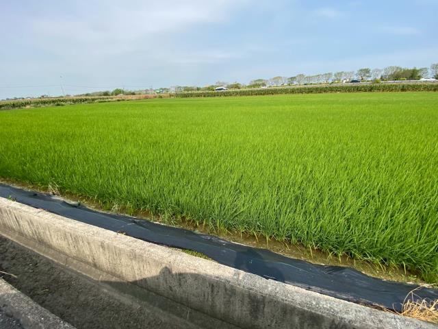 台南新營農地-6