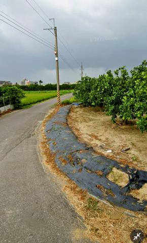 台南麻豆農地-0