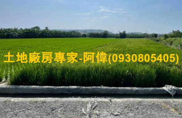 林園農地-0