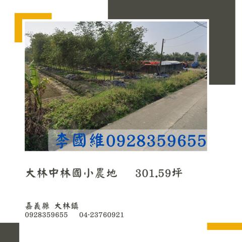 大林農地法拍-0