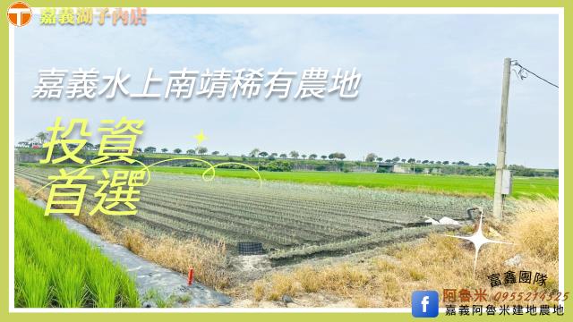 水上農地-0