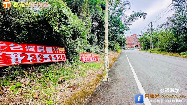 大埔農地-1