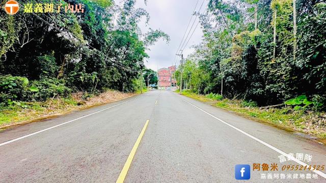 大埔農地-5