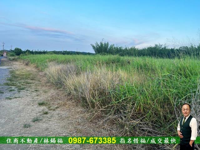台南農地-11
