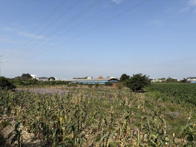 台南永康農地-1