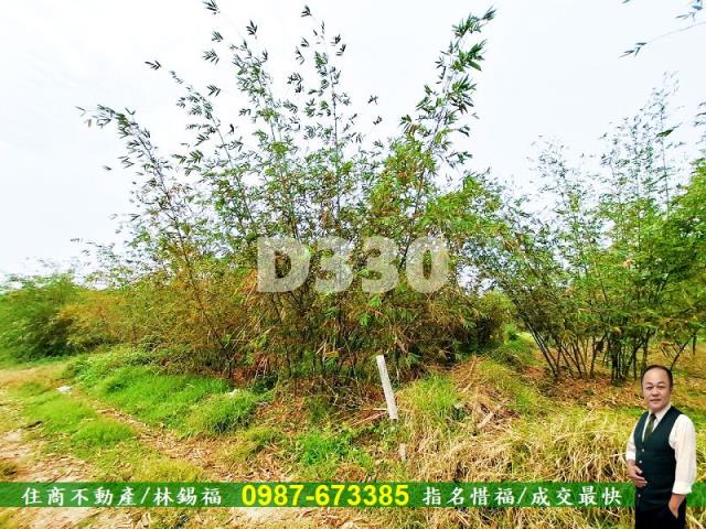 歸仁農地-8