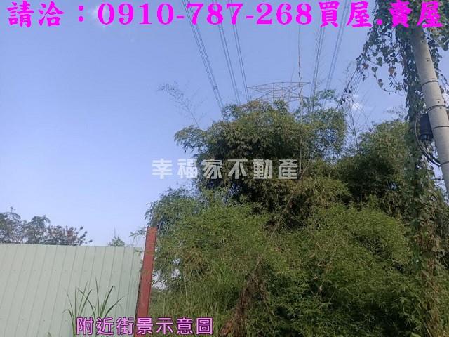 左鎮農地-10