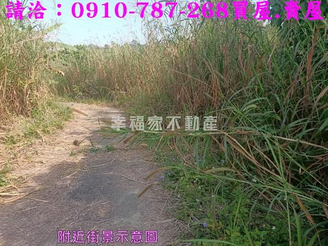 左鎮農地-3