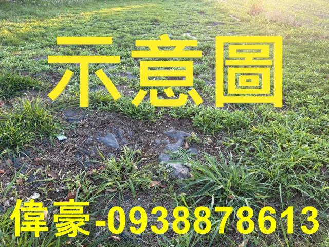 高雄楠梓建地-0