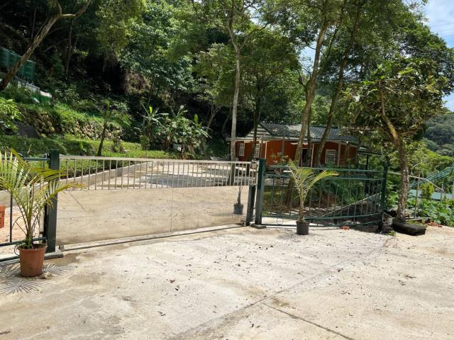 新竹關西山坡地-4