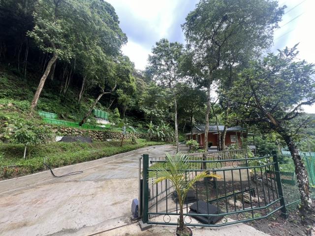 新竹關西山坡地-9