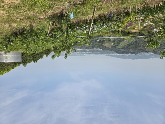 東勢農地-3