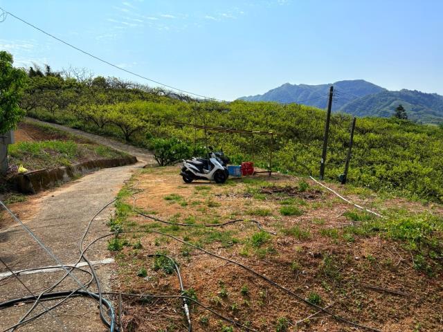 東勢農地-5
