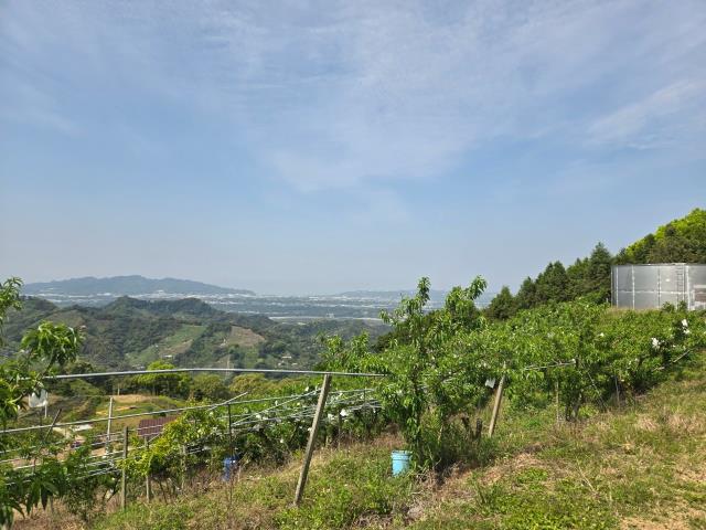 東勢農地-0
