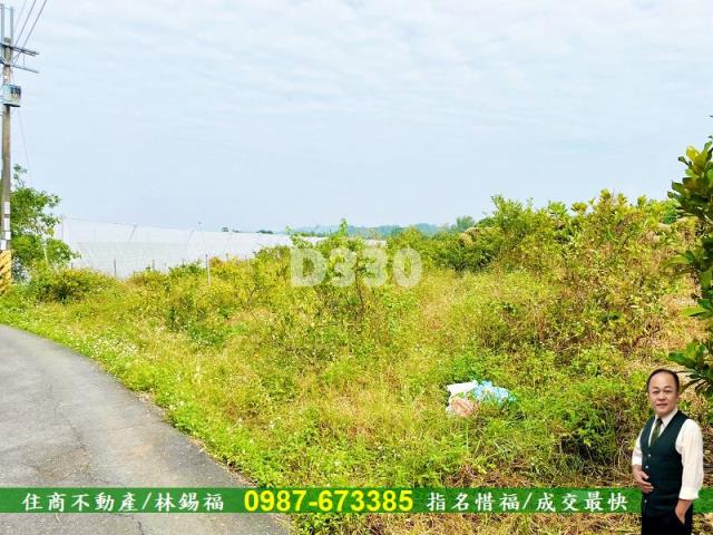 玉井農地-3