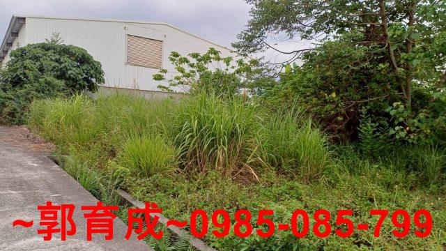 中埔農地-1
