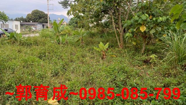 中埔農地-2