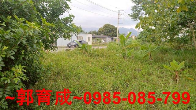 中埔農地-3