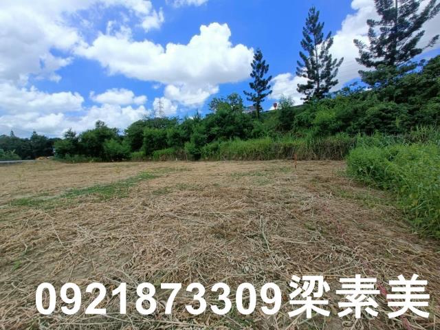 新化農地-9