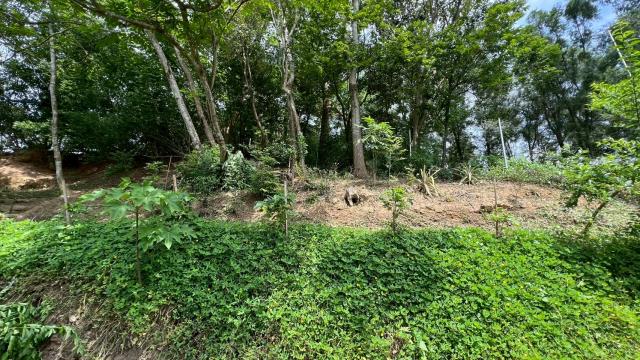 新竹北埔山坡地-13