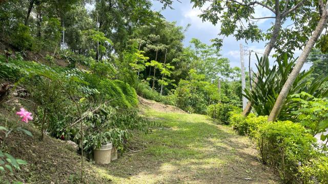 新竹北埔山坡地-4