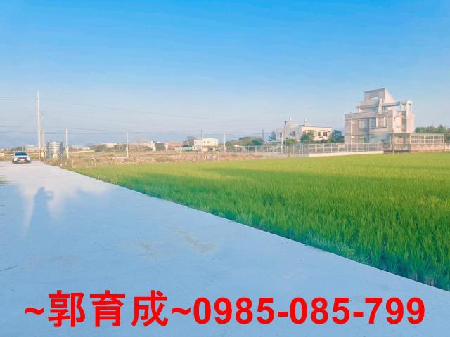 嘉義水上農地-4