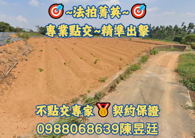 南投農地拍賣-0