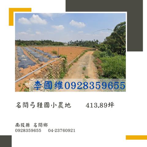 南投法拍農地-0