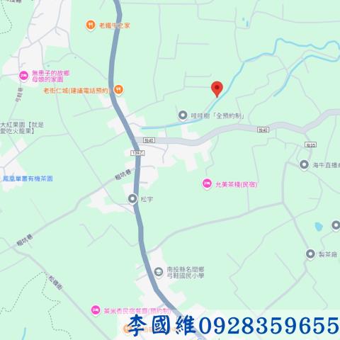 南投法拍農地-3