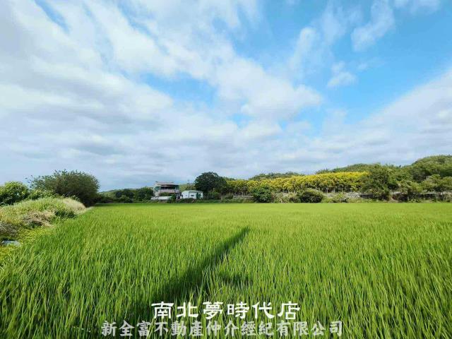 台南六甲農地-2