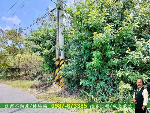 安南農地-3