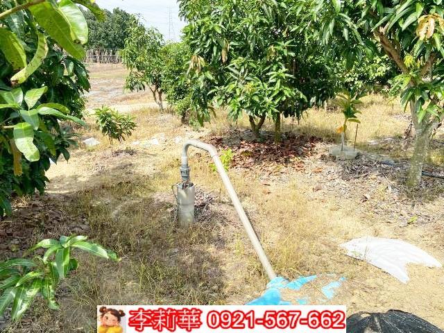 官田農地-9