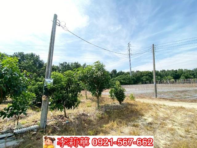 官田農地-10