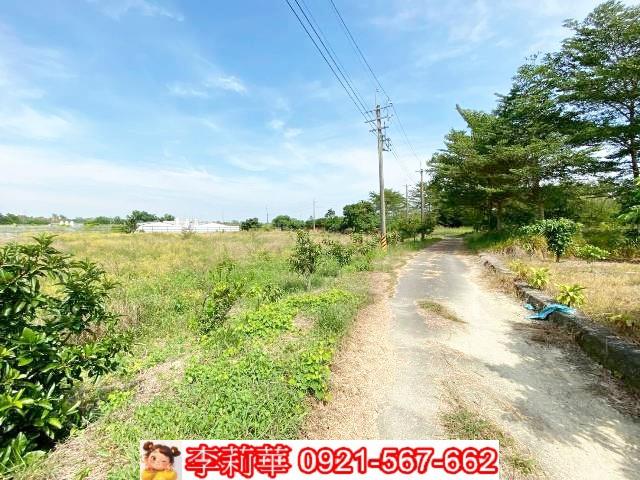 官田農地-3