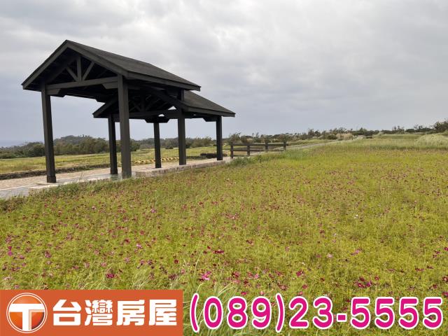 台東農地-5