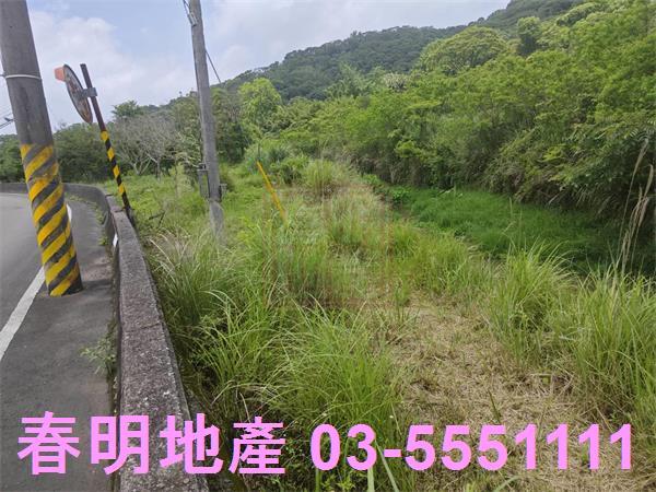 湖口農地-3