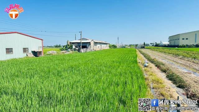 嘉義農地-4