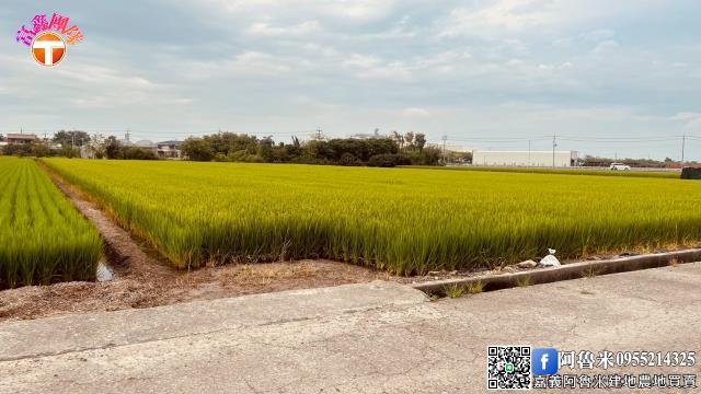 嘉義新港農地-1
