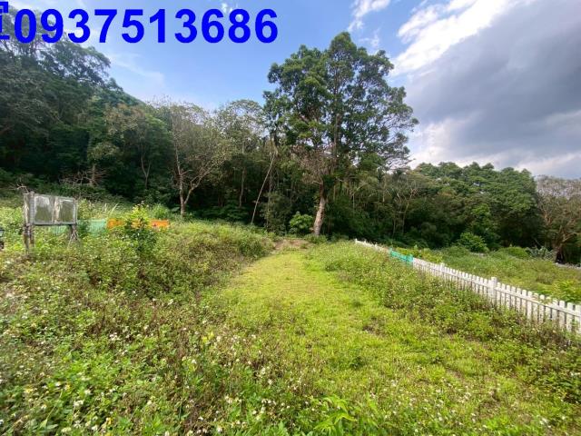 宜蘭縣礁溪鄉得石新段農地出售