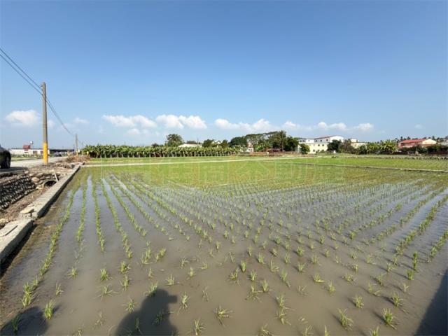 美濃農地-2