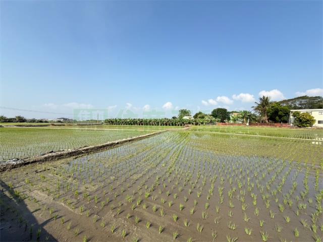 美濃農地-7